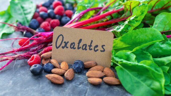 Lebenmittel wie spinat und Rote Bete mit einem Schild "Oxalates"
