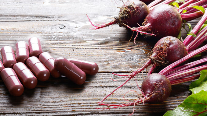 Rote Beete: Kapseln und Frische Knollen